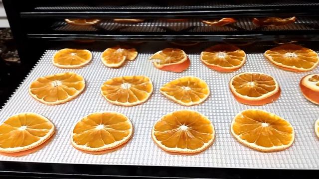 Dehydrating with the Excalibur смотреть онлайн