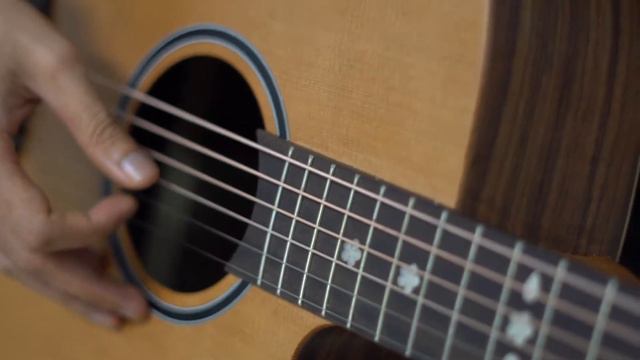Chard Guitars ‼️ (Footage)