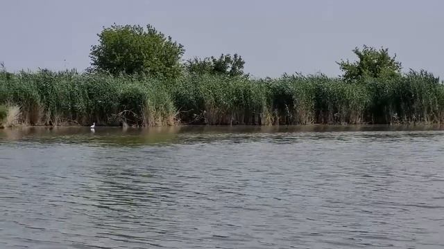 Наша жизнь в селе \ Я так переживаю \ Собрали лук \ Сейчас будем плакать смотреть онлайн