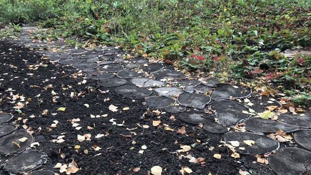 Как правильно посадить озимый чеснок смотреть онлайн