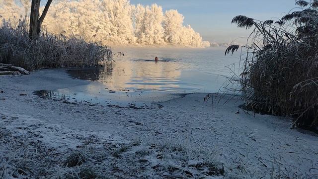 Winterbaden am Löderburger See 18 12 2022 смотреть онлайн