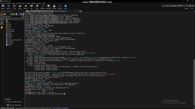 Install docker and nginx смотреть онлайн
