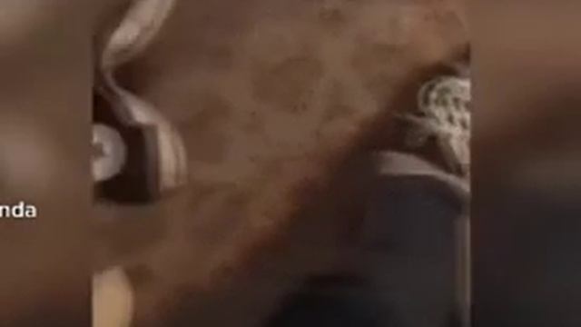 Когда мама сказала что врач просто посмотрит смотреть онлайн