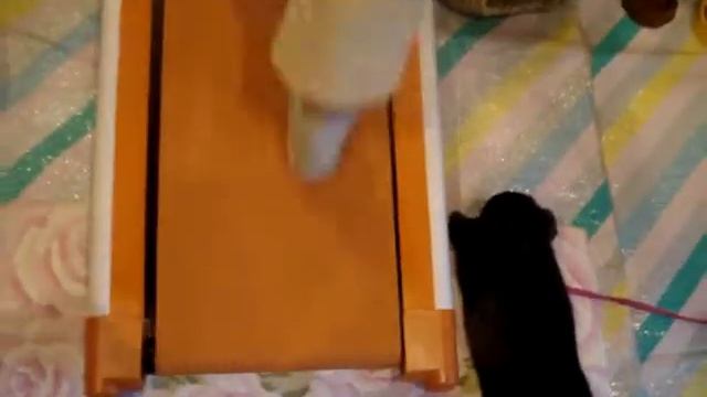 Bunny Foot 1 смотреть онлайн
