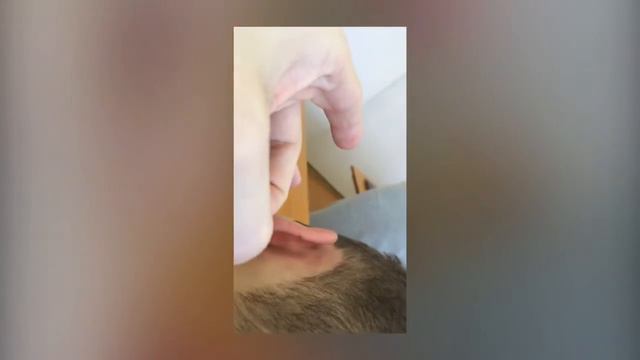 Роман спит смотреть онлайн