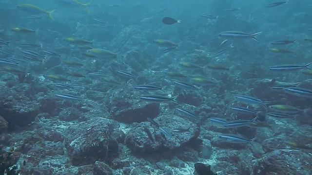 Inspiring Background Music