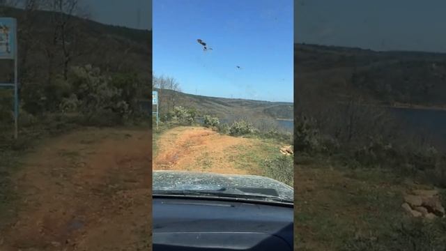 Frontera 2.2 & frontera 3.2 #opel #frontera #opelfrontera #offroad #4x4 #