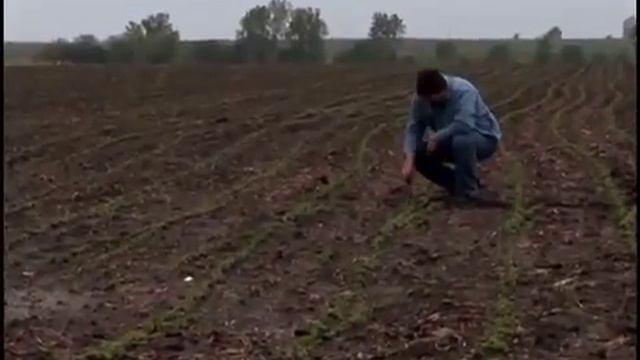 Производство продуктов Herbalife с ведущими экспертами в области питания