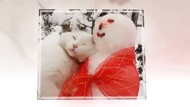 Кот и Снеговик. Кот на ДЕРЕВЕ. НОВОГОДНИЕ ЗАБАВЫ\CAT snowman on the tree.Christmas fun смотреть онлайн