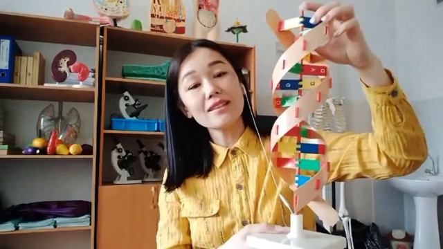 Белгілердің тұқым қуалауындағы ДНҚ-ң рөлі смотреть онлайн