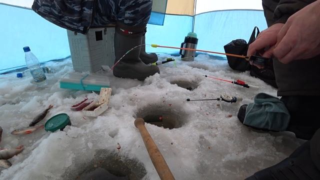 КЛЁВ НА ВЕРХНЕСАЛДИНСКОМ ВОДОХРАНИЛИЩЕ, ЛОВИМ БЕЛУЮ РЫБУ НА МОРМЫШКИ! РЫБАЛКА НА УРАЛЕ! смотреть онлайн