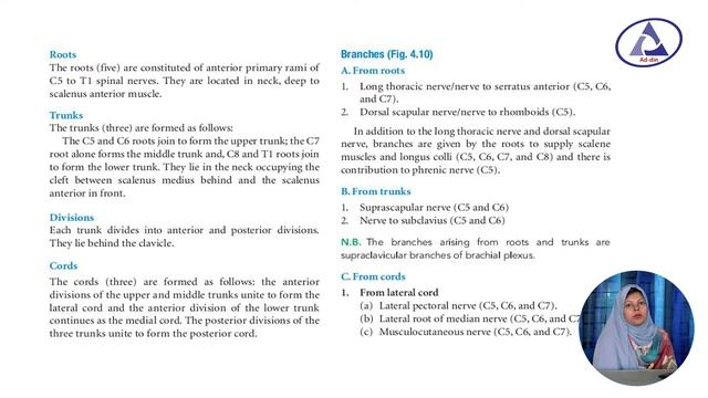 Brachial Plexus II Dr. Farjana Khanam II Asst. Prof. Dept. of Anatomy II BAMC II Online Class смотреть онлайн