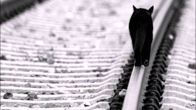 Легкий шум твоих шагов... Е. Усольцев. смотреть онлайн