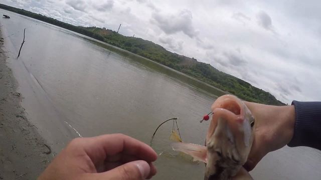 Рыбалка в Черте города!!!Лещ,язь на песках!!! КХВ!!!Серпантин!!!ЯЗЬ-ОБЖОРА!!!Рыбалка на фидер!!!!!! смотреть онлайн