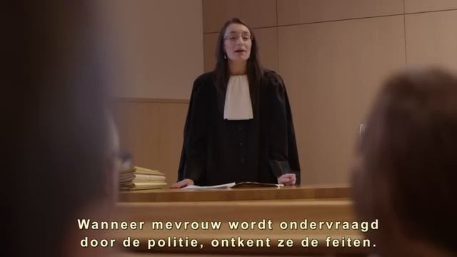 Het Parket In Beeld Deel 3 - Le Parquet En Image Part 3