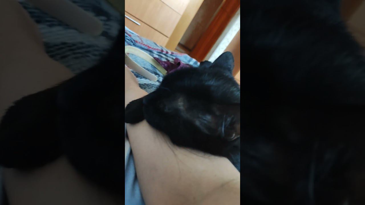 Как снять усталость и напряжение))). смотреть онлайн