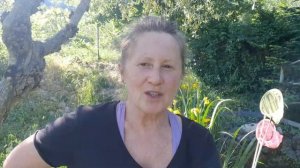 Шале и розы в горах Италии.Переделки, сад ,розы.