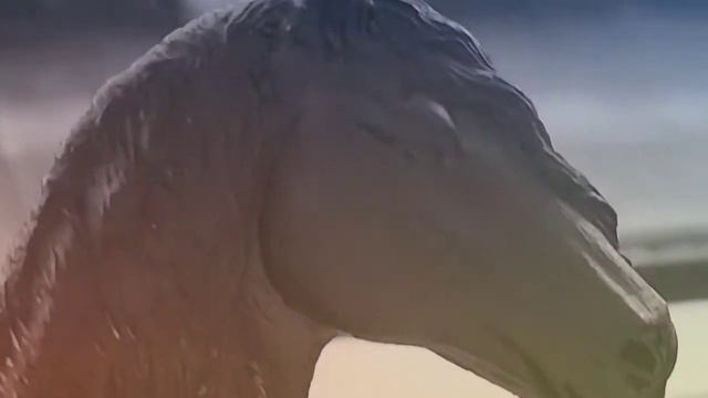 Клип лошадей шляйх алля смотреть онлайн