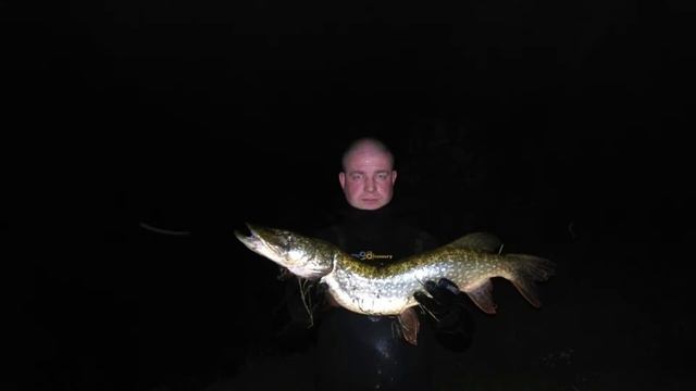 ПОДВОДНАЯ ОХОТА ПОГРУЖЕНИЕ В ХОББИ