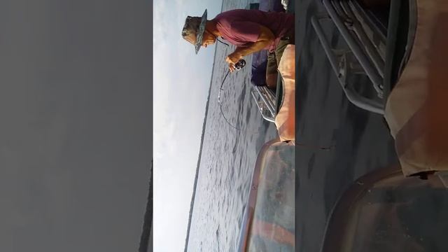 сом на квок июль 2021 смотреть онлайн