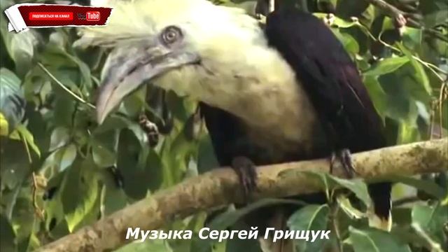 МУЗЫКА ДЛЯ ДУШИ ,,НОСТАЛЬГИЯ ,,Музыка Сергей Грищук смотреть онлайн