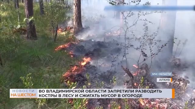 Во Владимирской области запретили разводить костры в лесу и сжигать мусор в огороде смотреть онлайн