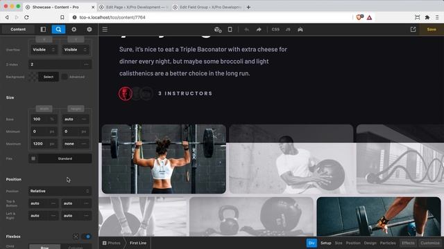 Loopers: Setting up an ACF Pro Gallery смотреть онлайн