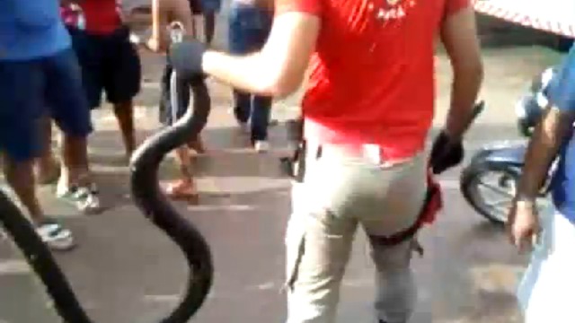 Достали змею из капота смотреть онлайн