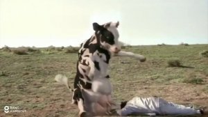 Ya lili Ya lila / Elili elila ( Yalili Remix ) Arabic Remix | lai lai lai kungfu Cow funny fight 2