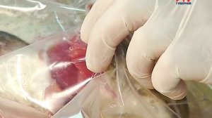 Выбираем карельскую форель