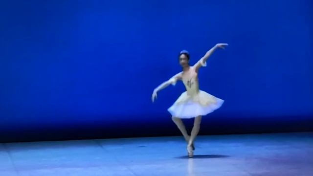 Вариация из балета Спящая красавица смотреть онлайн