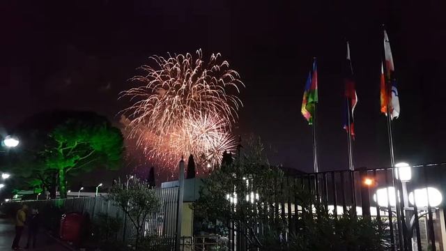 Новый год 2019 в Сочи. Салют в Олимпийском парке. смотреть онлайн