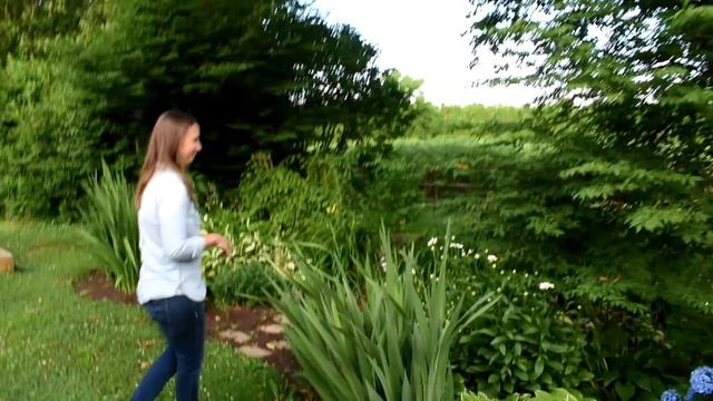 June Garden Tour // Northlawn Flower Farms смотреть онлайн
