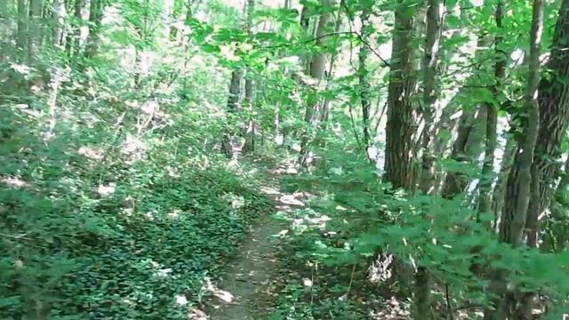 Балановское водохранилище и крымский лес смотреть онлайн