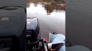 HDX 5.8 и Roger 3200