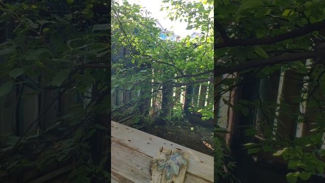 Настенное панно с плетёной корзиной в деревенском стиле! смотреть онлайн