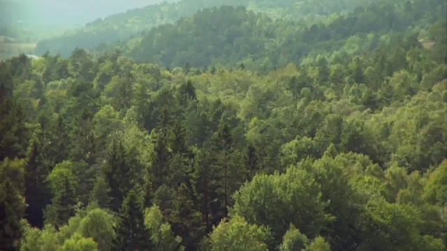 Picknick trailer смотреть онлайн