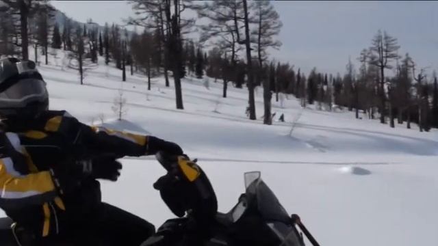 ТУРНЕ НА РИДДЕР смотреть онлайн