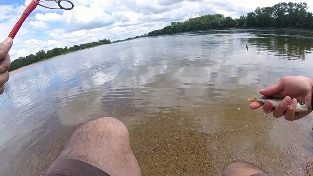 UN BROCHET CASSE MON HAMEÇON ?