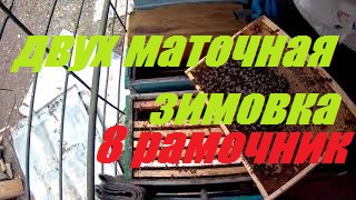 Двухматочная зимовка пчелосемей в 8 рамочном улье.Пчеловодство начинающим. смотреть онлайн