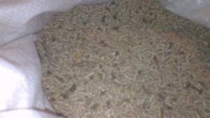 Рецепт 100% полнорационного комбикорма для ПОДСОСНЫХ СВИНОМАТОК!  feed for lactating sows!