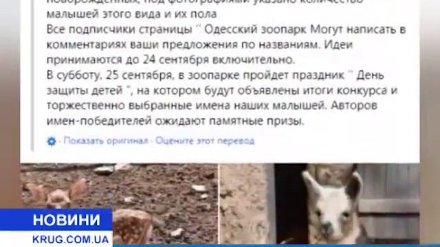 Придумаем имена новорожденным! смотреть онлайн