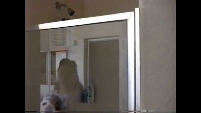 США. Первый муж. Муж-американец. Наш дом в Аризоне. Уборка дома. 1999. Семейный архив смотреть онлайн