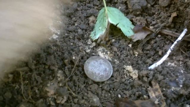 коп удачный шурф 2 смотреть онлайн