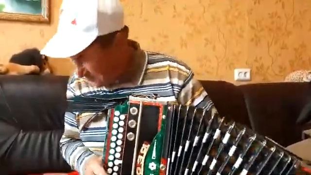 Гармонист Павел Зиновьев смотреть онлайн