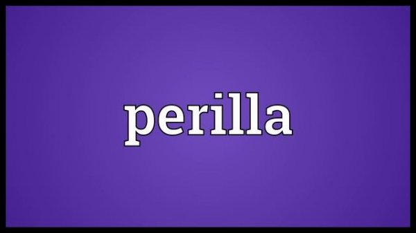 Perilla Meaning