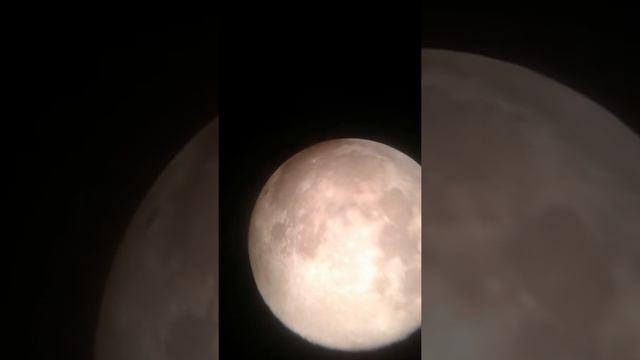 Starparty: venus, Jupiter and moons, earth moon through 130p S.W. heritage dob in 10mm смотреть онлайн
