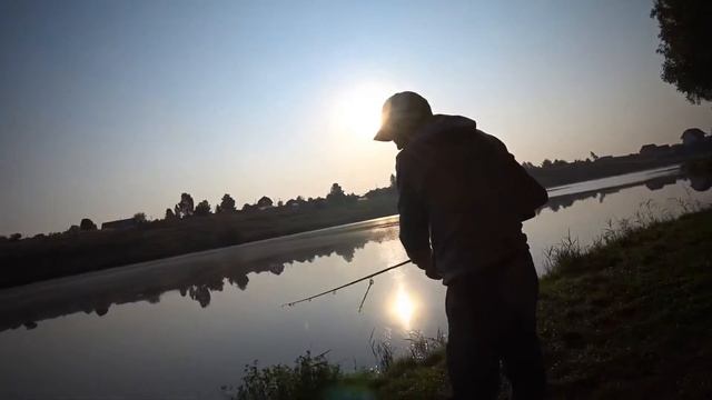 Поймали зеркального карпа! смотреть онлайн