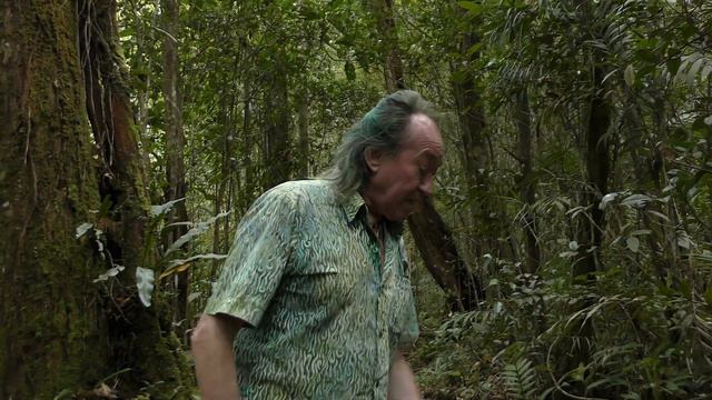 FIELD TRIP WITH PATRICK BLANC, MOUNT KINABALU, BORNEO смотреть онлайн