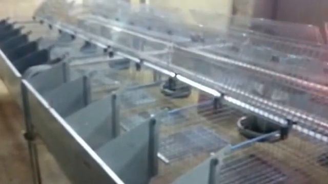 Дезинфекция клеток для кроликов смотреть онлайн